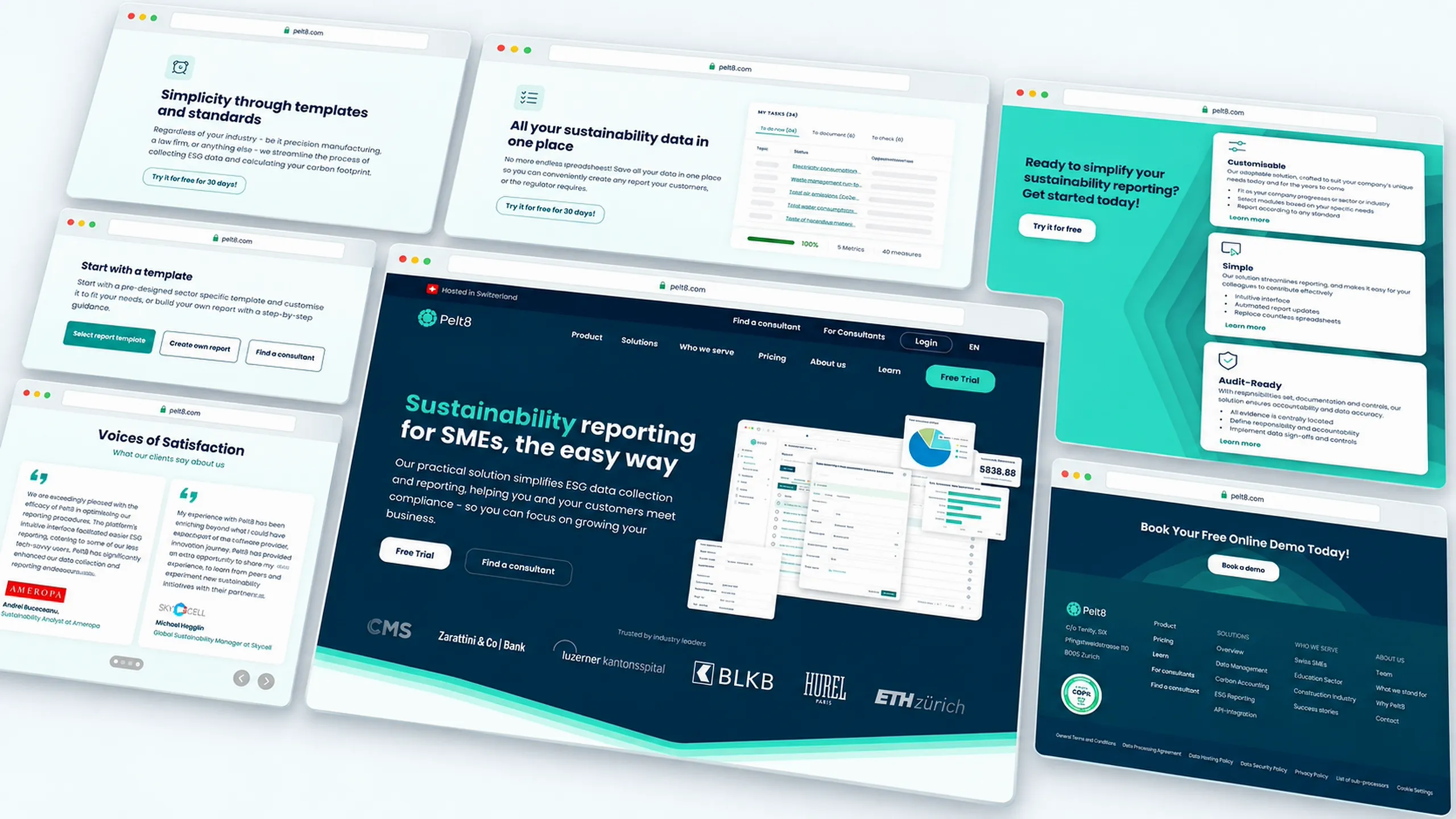 Web de Pelt8 reconstruida en Framer con la nueva identidad visual